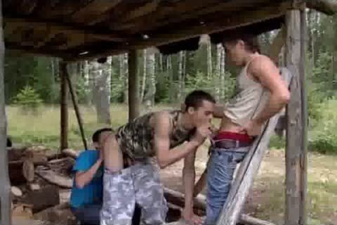 BB joy In The Woodshed