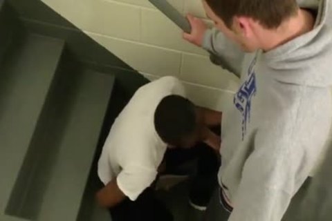 When big 10-Pounder Wiggahs Attack.black Thug