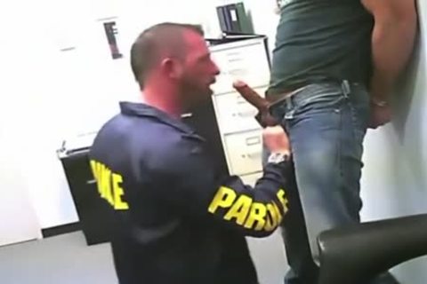 Cops nail lovely Suspects