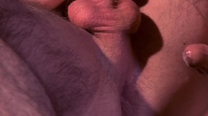 Top To Bottom : Woody Fox - Woody Fox painfully hammer