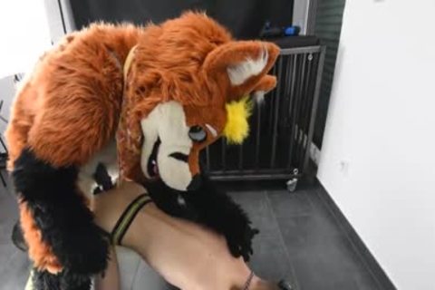 Puppy gets plowed By Fursuit With  vibrator