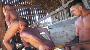 FalconStudios.com - Hairy Trenton Ducati tongue kissing