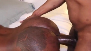 Vers Sex Is The best Sex