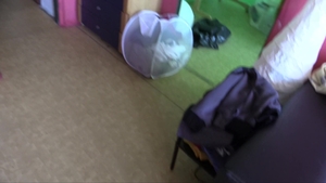 Debt Dandy: Paying Debts with Pleasure